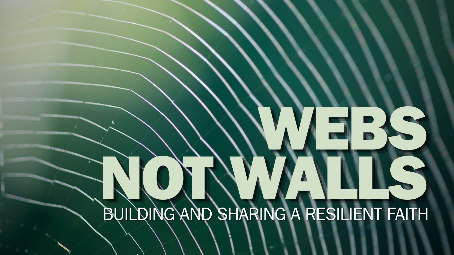 Title image for the series 'Webs Not Walls: Building and Sharing a Resilient Faith.'